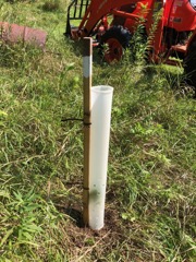 Tree Tube